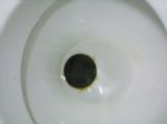 Eccles Toilet Wins Salford Star Award